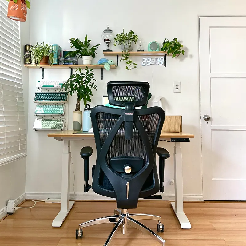 Sihoo M57 Ergonomic Office Chair with Breathable Mesh Cushion - Image 6