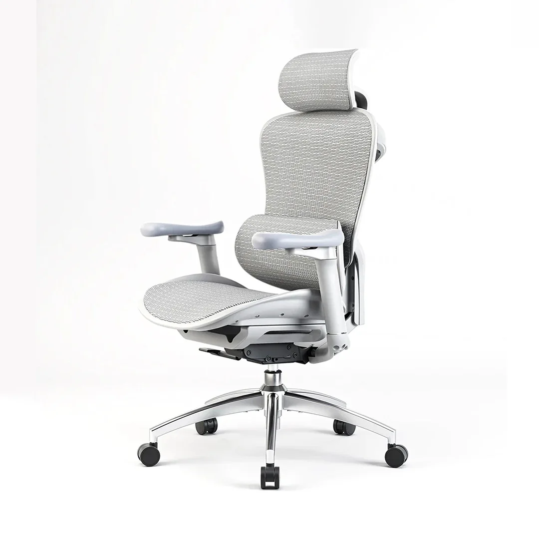 Sihoo C300 Ergonomic Office Chair with Advanced Back Support - Image 15