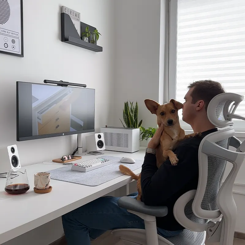 Sihoo C300 Ergonomic Office Chair with Advanced Back Support - Image 5