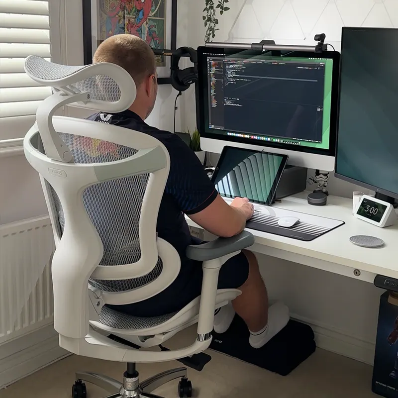 Sihoo C300 Ergonomic Office Chair with Advanced Back Support - Image 6