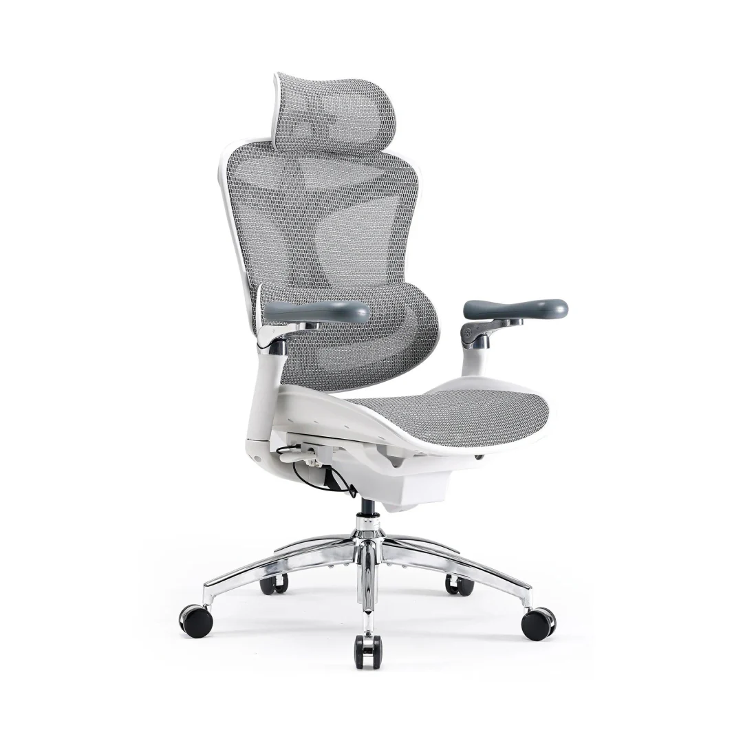 Sihoo C300 Pro Ergonomic Office Chair with Seat Depth for Long Sitting - Image 14