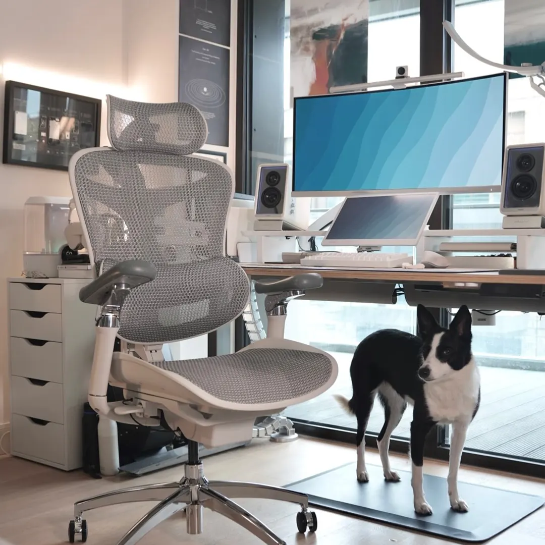 Sihoo C300 Pro Ergonomic Office Chair with Seat Depth for Long Sitting - Image 4