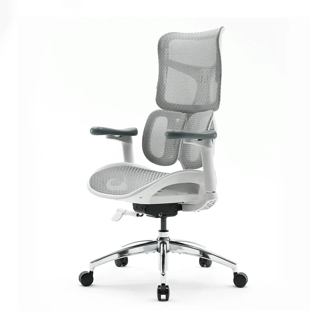 Sihoo S100 Dynamic Ergonomic Office Chair with Lumbar Support - Image 10