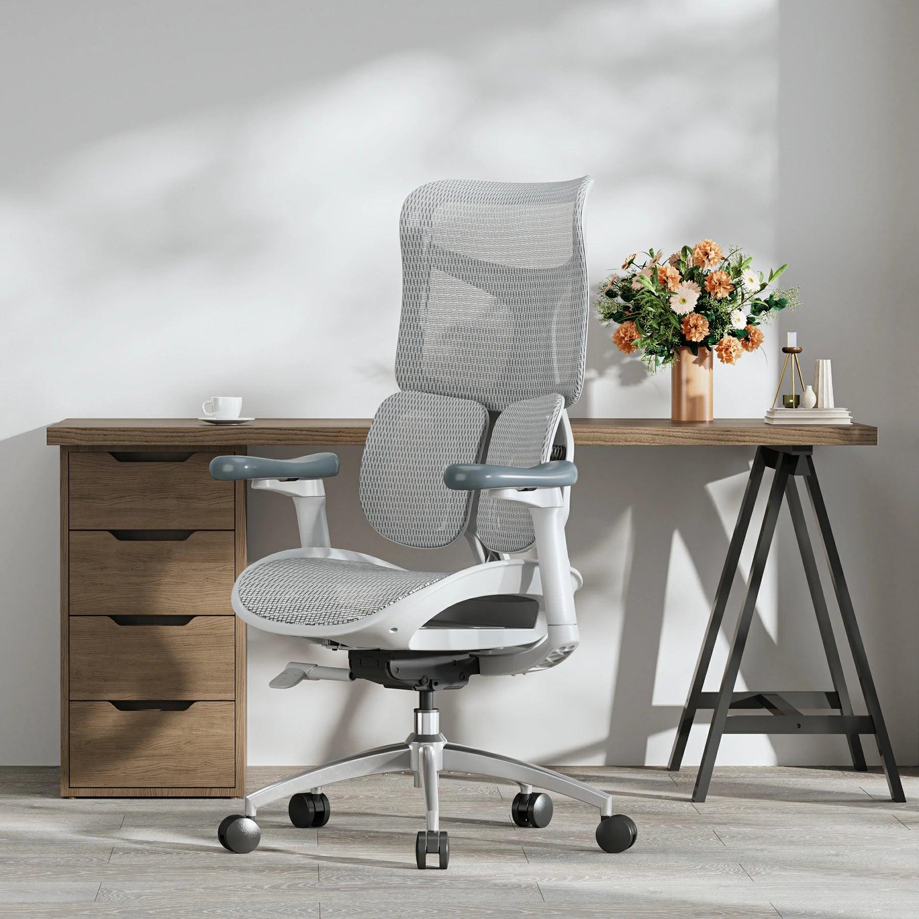 Sihoo S100 Dynamic Ergonomic Office Chair with Lumbar Support - Image 11